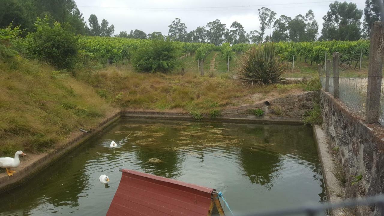 法菲 Quinta D'Areda Wine&Pool Experience旅馆 外观 照片