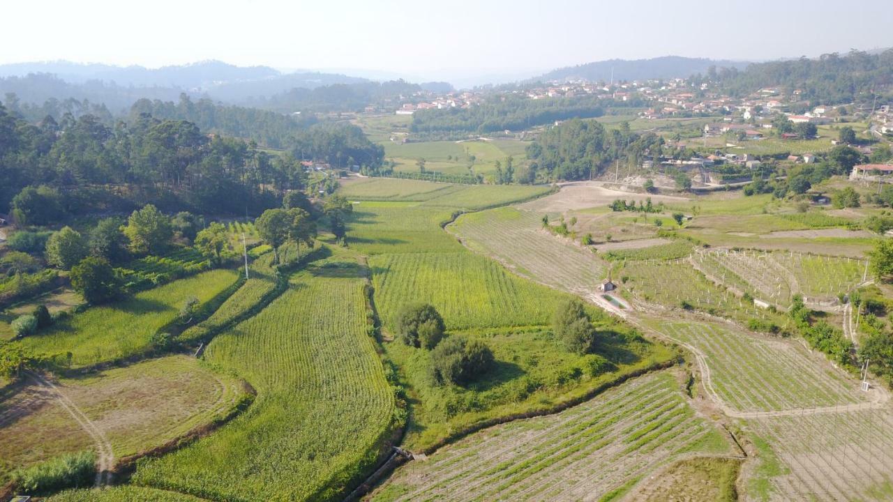 法菲 Quinta D'Areda Wine&Pool Experience旅馆 外观 照片
